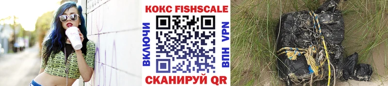 купить наркотики цена  Болгар  COCAIN Fish Scale 