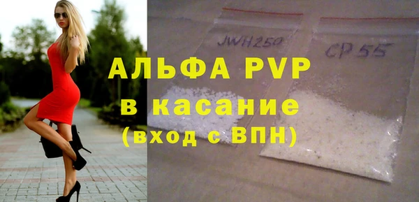 гидра Белокуриха