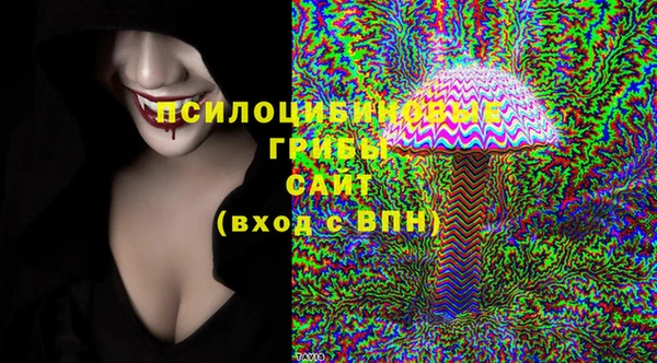 гидра Белокуриха