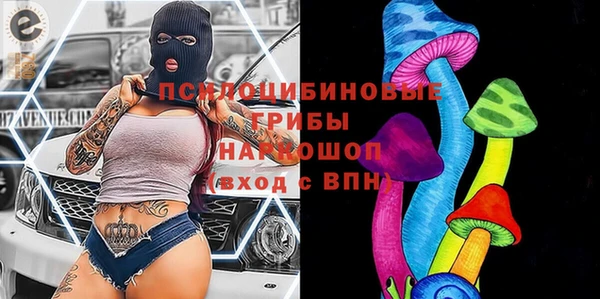 гидра Белокуриха