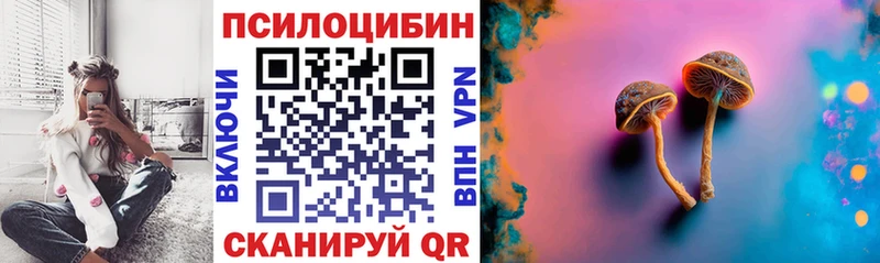 Псилоцибиновые грибы ЛСД  где купить наркоту  Болгар 