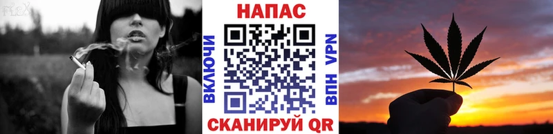Конопля план  цены   Болгар 
